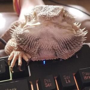 Meet your Posher, Audra lynn